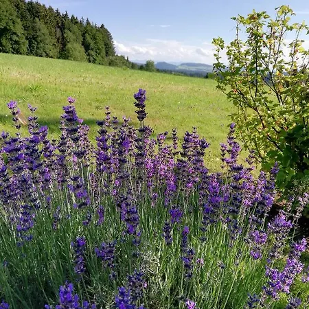 Bergblick Apartman *