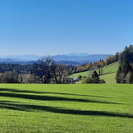 Bergblick Apartment Gestratz